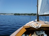 Beauty at a boat-length (or thereabouts)