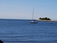 Buzzards: A bay with attitude