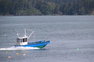 IMG_4640