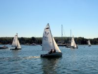 Juniors racing 420's