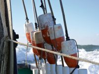 A winter delivery becomes a solistice sleighride