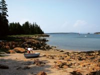 On discovery and bar bullies