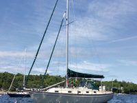 Germination of a dream