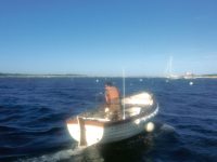 The usual springtime elephant on the island