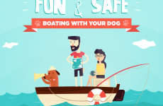 Boating with your dog this summer?