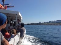 It seemed like life sprang anew on the Isles