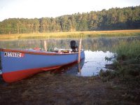 ‘Another crazy scheme’