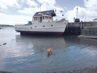 A careening crisis narrowly averted