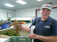 A worker in the warehouse out back holding a local "bug" (top)