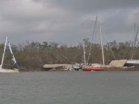 Boats were pulled out of the mangroves, but not the accompanying debris; that's where we came in. Photo by Mike Camarata