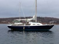 Good Buddy as I first found her in early January, fenders out, sail cover off, as though her former owners had fled.