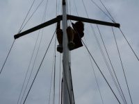 The advantage of being petite