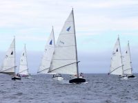 A Nonsuch fleet racing, their unmistakable wishbone rigs -- a concept lifted from windsurfing -- making them immediately identifiable.Photo courtesy Sue Cornell