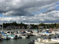 June: Stony Creek, Branford, Conn.