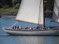 Summer has begun in the Fox Island Thorofare