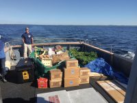 Optimism, Catboat Bob, and Mrs. Crabby