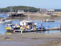 August Mystery Harbor: Frenchboro, Maine