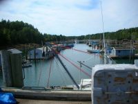 Midwinter, 2019: Head Harbor, Campobello Island