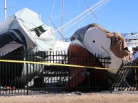 Photo by Mike MartelPrivateer (red bottom) after she was dealt a deathblow by a neighboring boat. Her hull wracked and distorted, she was declared a total loss.