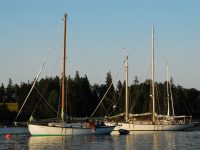 Photo by David BuckmanTwo beautiful boats -- Briar Patch (left) and Appledore -- add drama to Perry Creek on MaineÕs Vinalhaven Island.
