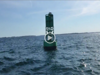 Salem Sound Bell Buoy #9