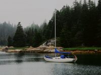 Photo by David BuckmanThe silence of places like The Basin, on Vinalhaven Island, runs deep.