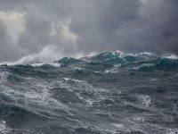 Force 8 Cape Cod