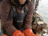 Photos by James RudolphAll in a day's work (left to right): stuff that comes up from below; cutting new chain; and mooring maintenance.