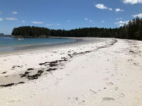 Photo by Tim PlouffThe beach that stretches for over a mile on Roque. The white sand there looks like it's imported from the Bahamas.