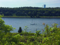 Photo courtesy Mark BarrettMark Barrett aboard his J/24 Student Driver navigating the waters of the Cape Cod Canal under outboard.