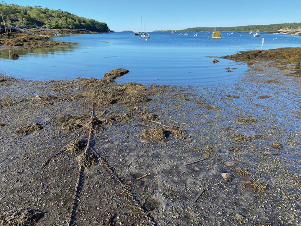 August/September Mystery Harbor We finally have an answer! Linekin Bay