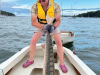 Photo courtesy Chuck RadisPaul Nakroshis hauls a dead sturgeon from the bottom of his friend’s boat in Casco Bay.