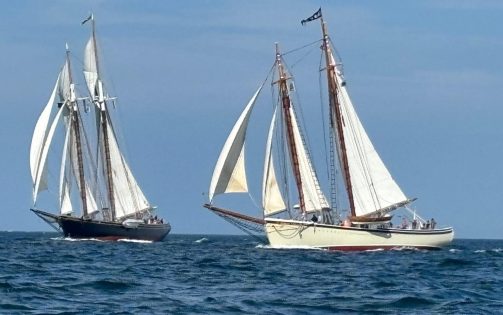 racing1-503x315.jpg