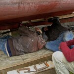 The planking crew is about done with this stage of fitting the garboard.