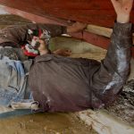 The Brown Brothers team up.